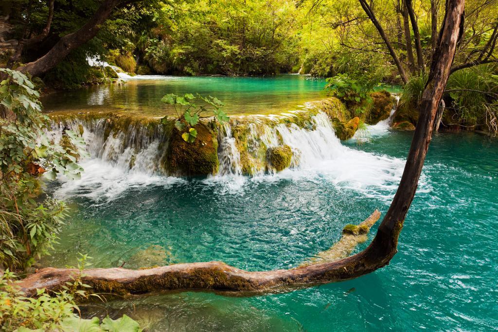 Guest House Plitvice Villa Verde Plitvička Jezera Eksteriør bilde